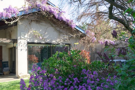 00 200411 037 Fleurs Chaponost