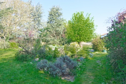 07 200411 041 Fleurs Chaponost