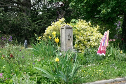 08 200420 002 Fleurs chaponost