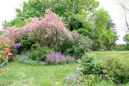 09 200420 003 Fleurs chaponost