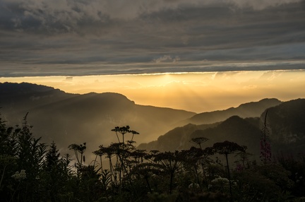 01 15 Ombres et lumieres