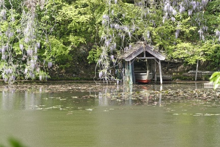 077_Jardins_japonais