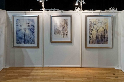 201015 059 Expo Sol Art Tassin redim