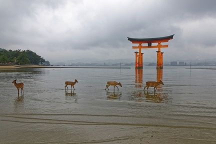 002_Jardins_japonais