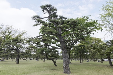 011_Jardins_japonais