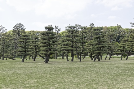 014_Jardins_japonais