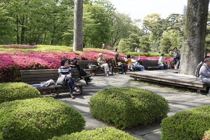 015_Jardins_japonais