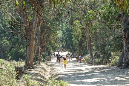 210615_052_Porquerollesjpeg