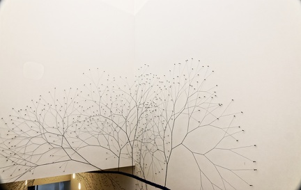 210615_056_Fondation_Carminiacjpeg