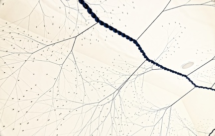 210615_057_Fondation_Carminiacjpeg