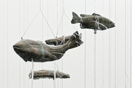 210615_062_Fondation_Carminiacjpeg