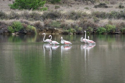 210905_004-Peyriac-de-mer