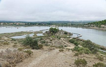 210905_009-Peyriac-de-mer