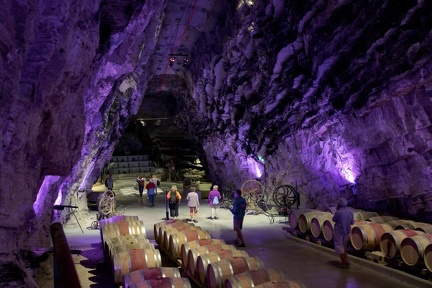 210905_047-Terra-Vinea