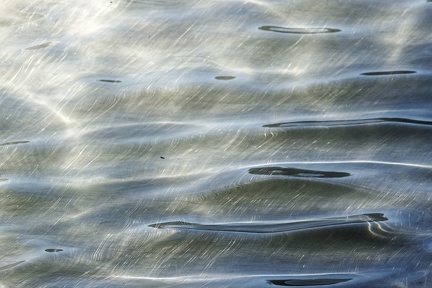 220917_260_Les Milandes