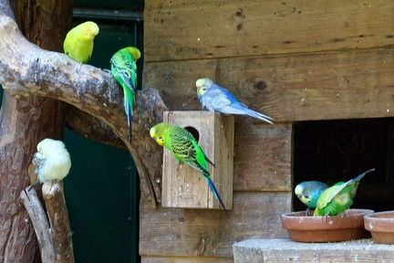 220917_294_Les Milandes