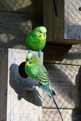 220917_302_Les Milandes