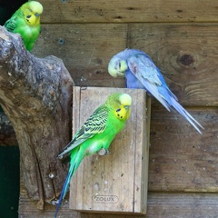 220917_307_Les Milandes