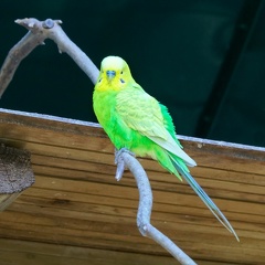 220917_308_Les Milandes